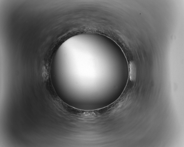 X0000096661491200802121120