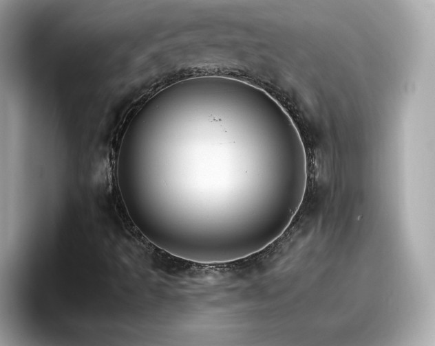 X0000096661493200802121120