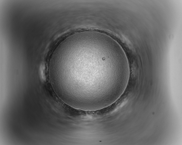 X0000096661494200802121120