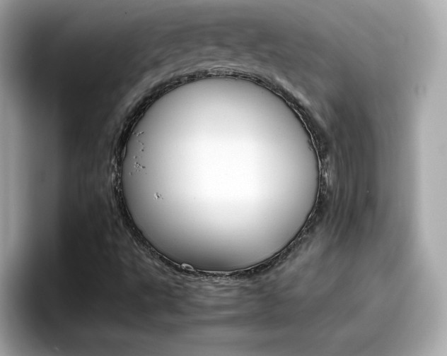 X0000096661495200802121120