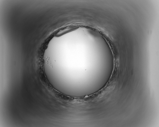 X0000096661496200802121120