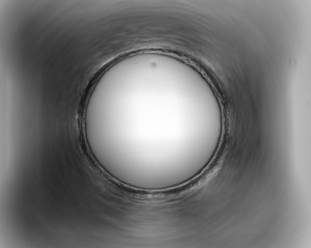 X0000096661497200802121120