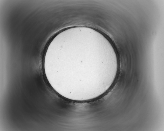 X0000096661498200802121120