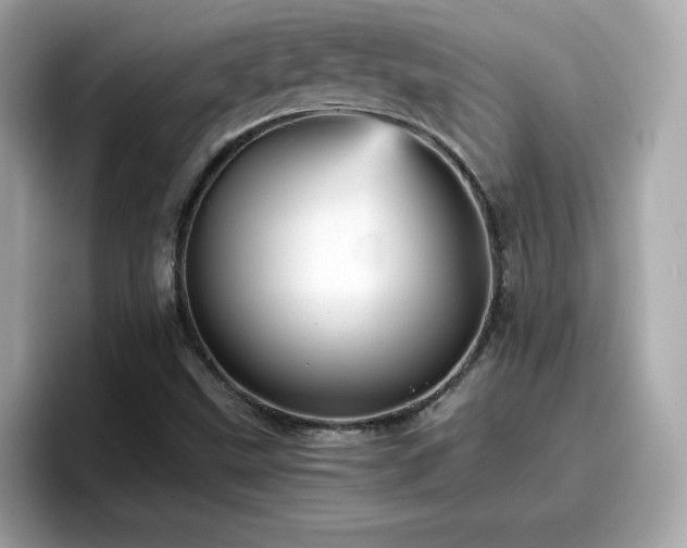 X0000096661499200802121120