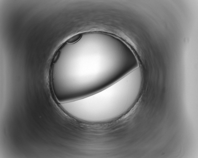 X0000096661500200802121120