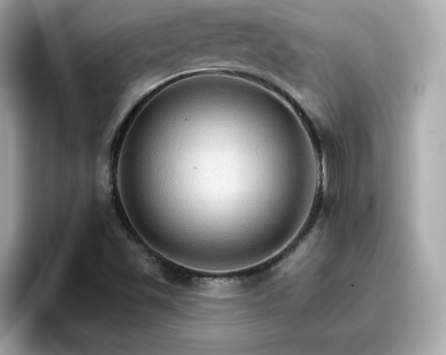 X0000096661501200802121120