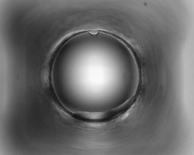 X0000096661502200802121120