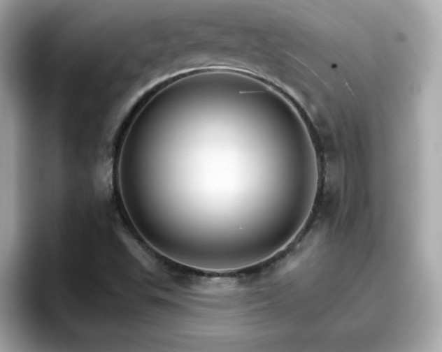 X0000096661503200802121120