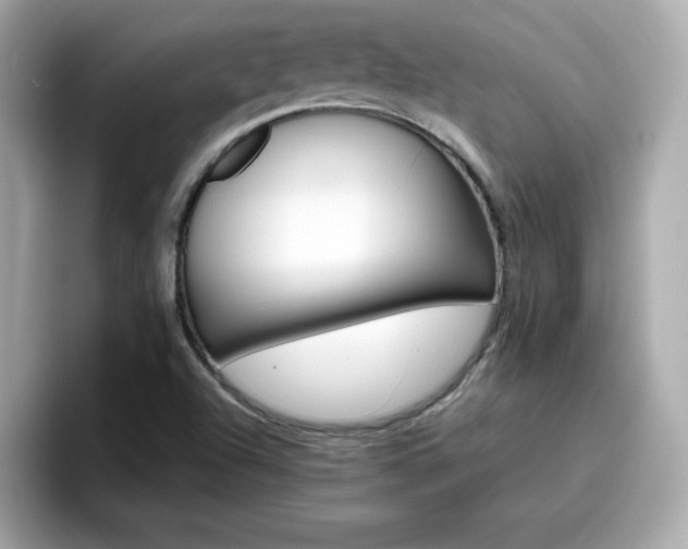 X0000096661504200802121120