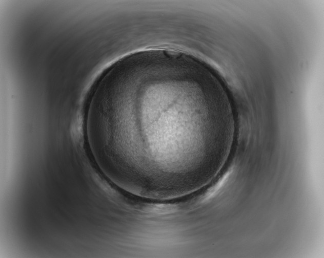 X0000096661506200802121120