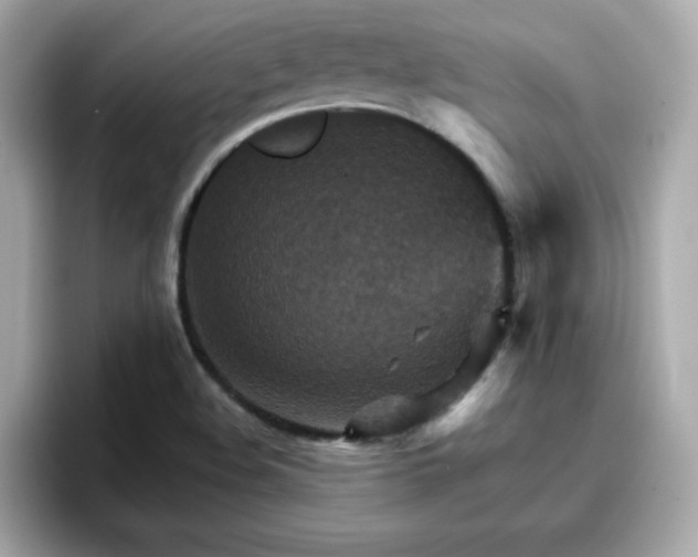 X0000096661508200802121120