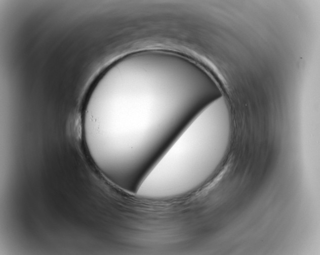 X0000096661509200802121120