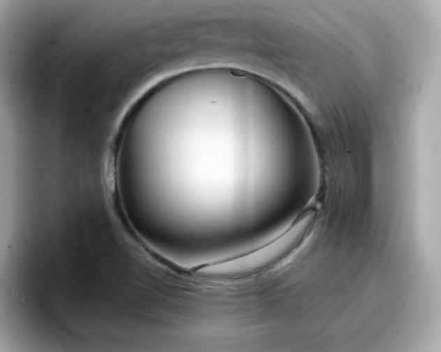 X0000096661510200802121120