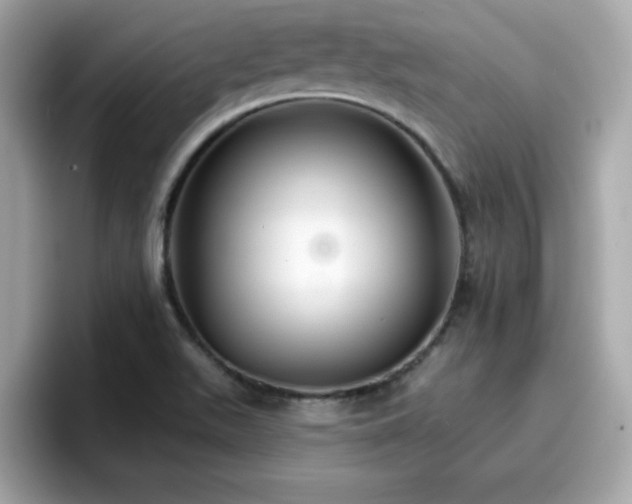 X0000096661511200802121120