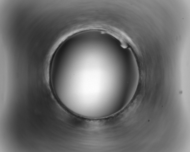 X0000096661512200802121120