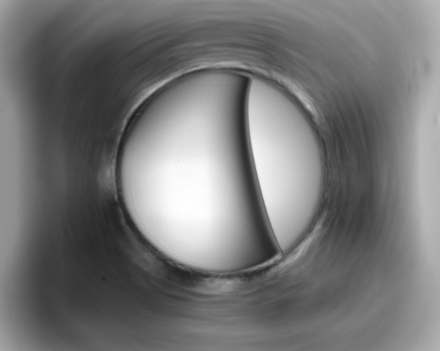 X0000096661513200802121120