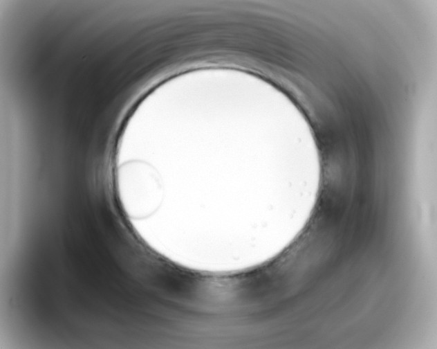 X0000096661514200802121120