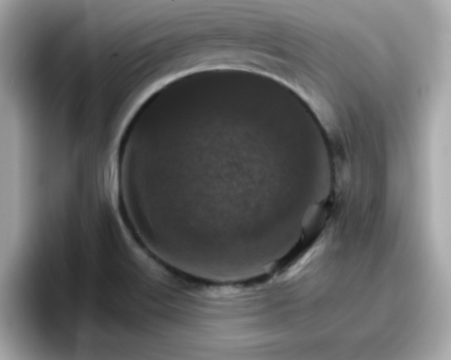 X0000096661515200802121120