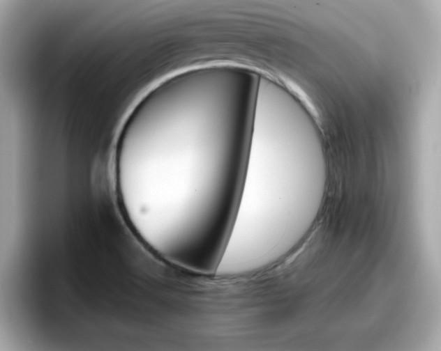 X0000096661516200802121120