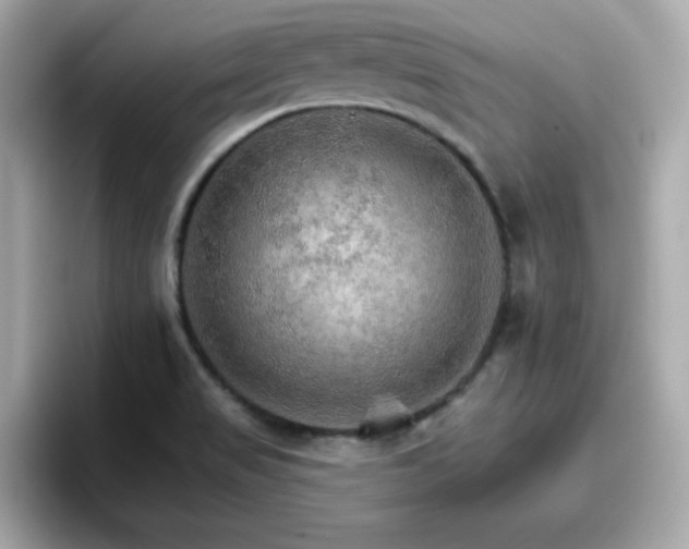 X0000096661517200802121120