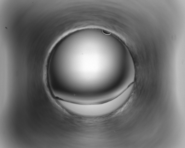 X0000096661518200802121120