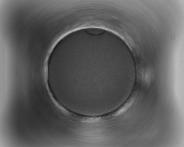 X0000096661519200802121120