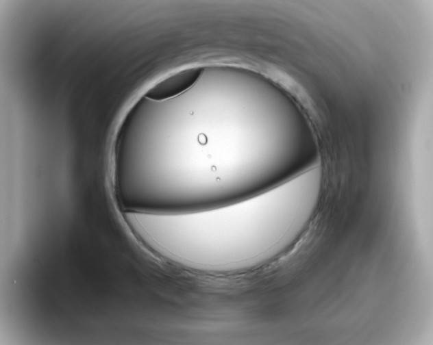 X0000096661520200802121120