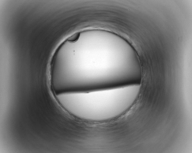 X0000096661522200802121120