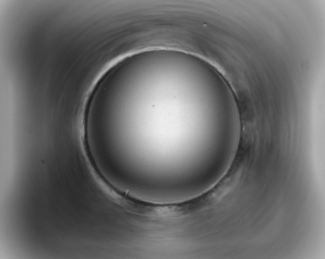 X0000096661523200802121120