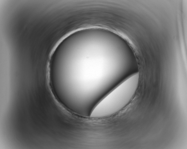 X0000096661524200802121120