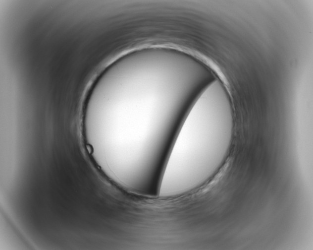 X0000096661525200802121120