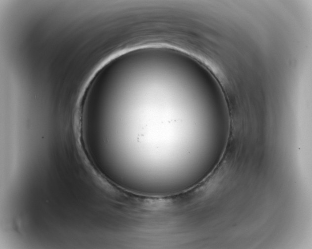 X0000096661526200802121120