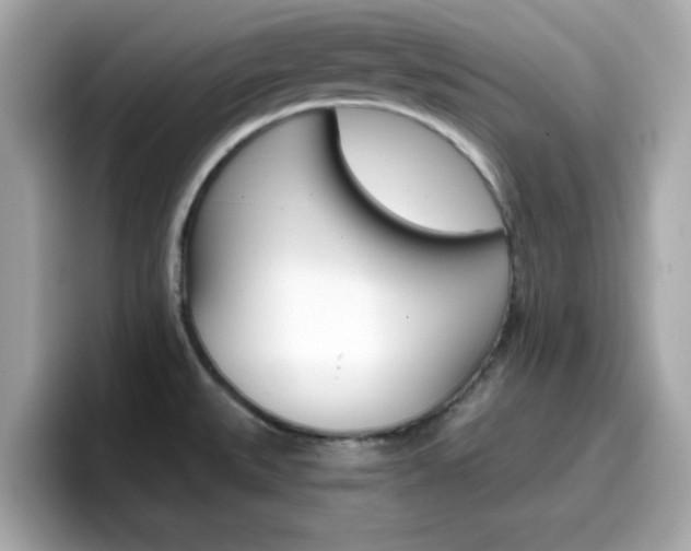 X0000096661527200802121120