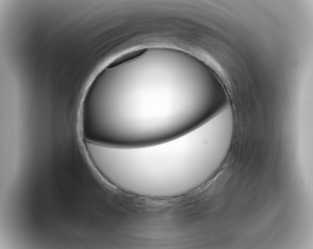 X0000096661528200802121120