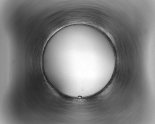 X0000096661529200802121120