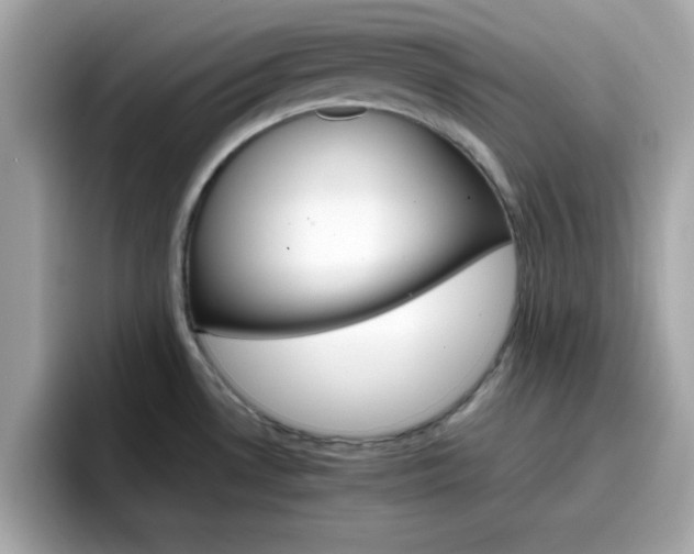 X0000096661530200802121120