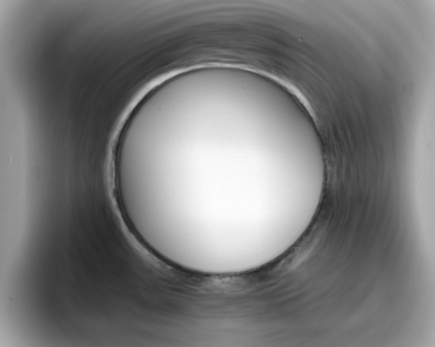 X0000096661531200802121120