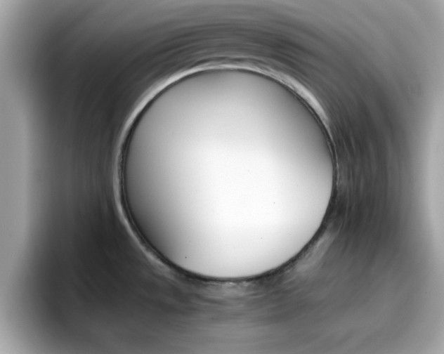 X0000096661533200802121120