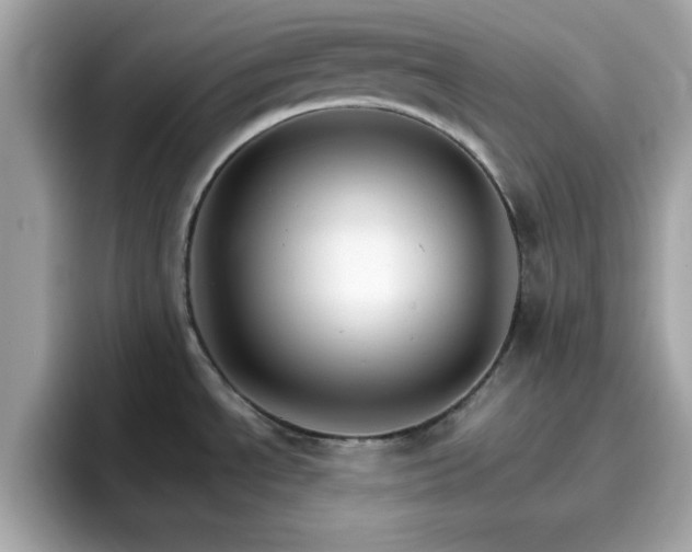 X0000096661534200802121120