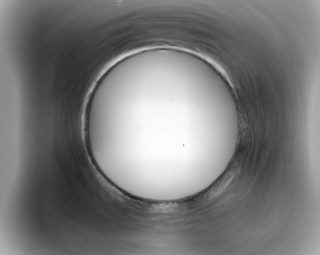 X0000096661535200802121120