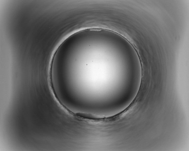 X0000096661536200802121120