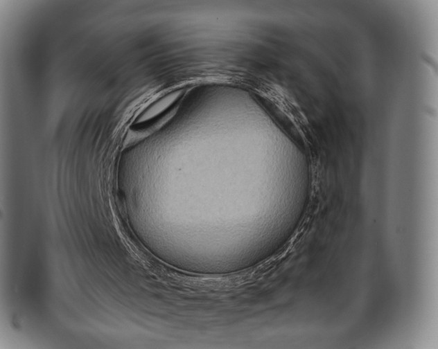 X0000096660001200802191318