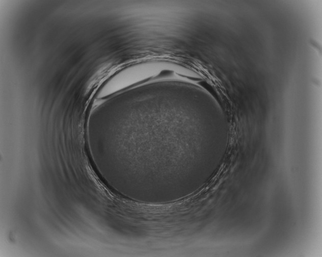 X0000096660002200802191318