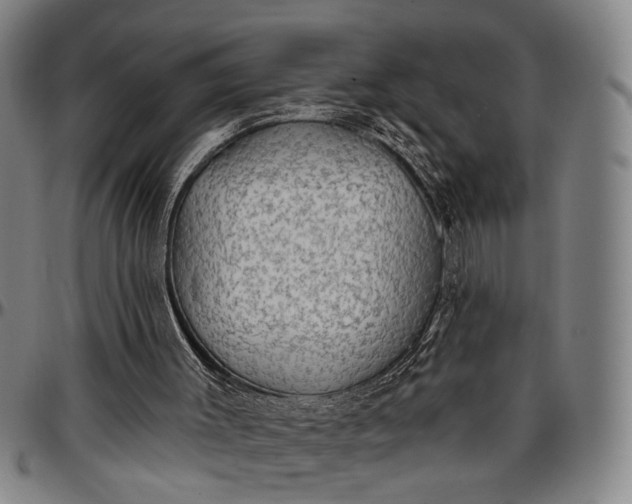 X0000096660003200802191318