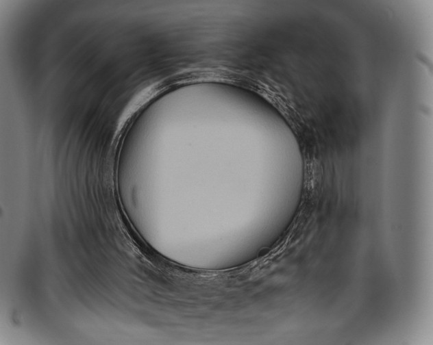 X0000096660004200802191318