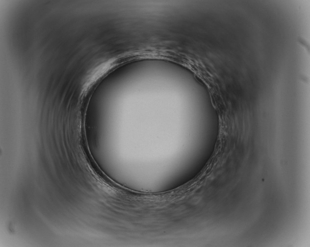 X0000096660005200802191317