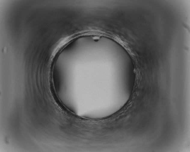 X0000096660007200802191317