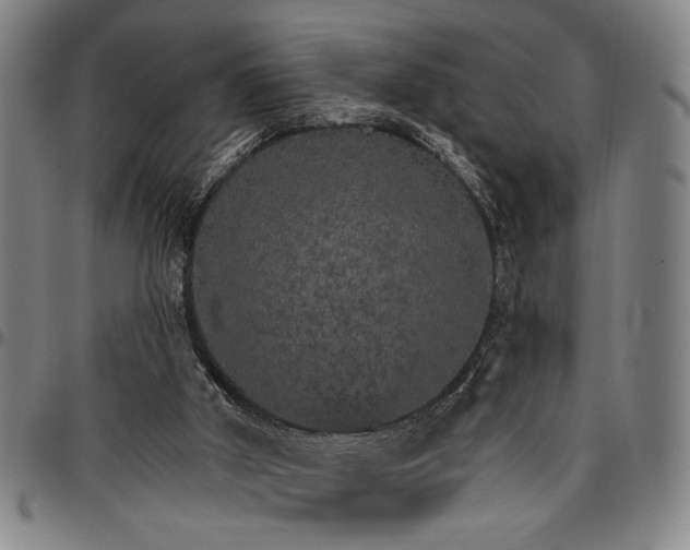 X0000096660010200802191317