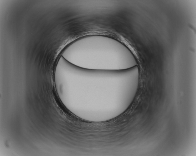 X0000096660011200802191317