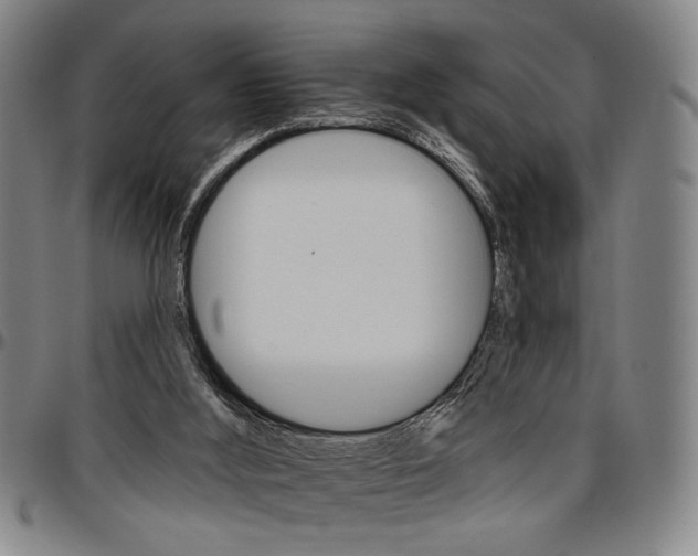 X0000096660012200802191317